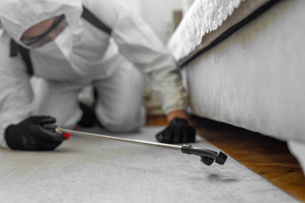 Professional Bed Bug Control technician working in Mayville, NY