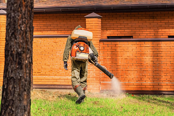 Trusted Bed Bug Control service in Mayville, NY - Nex Pest Control